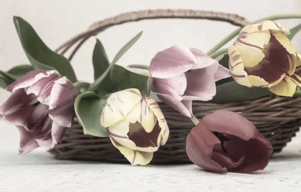 Bukett Vackra Röda Rosa Och Gula Tulpaner Keramisk Vas Presenteras — Stockfoto