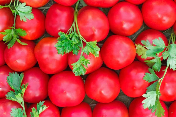 Parlak kırmızı renkli küçük boyutta olgun domates. — Stok fotoğraf