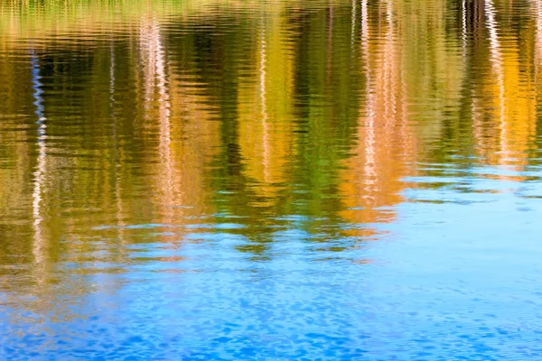 Paesaggio, riflessi nella foresta acquatica autunnale sulla riva . — Foto Stock