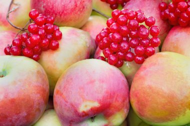 Large ripe apples and berries, photographed close up.