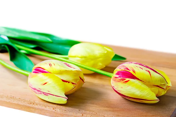 Tres tulipanes rojos brillantes sobre un fondo blanco . —  Fotos de Stock