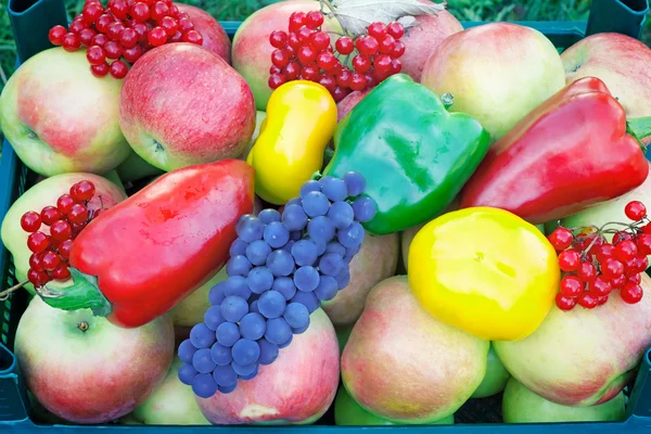 Számos nagy, érett gyümölcsök és zöldségek a konténer. — Stock Fotó