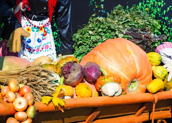 Zbioru warzywa sprzedawane na targach — Zdjęcie stockowe