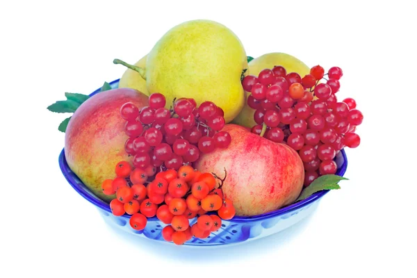 Jablka, hrušky, jahody a Rowan ve váze na bílém pozadí — Stock fotografie