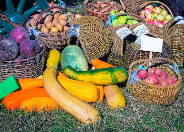 Colheita de legumes vendidos na feira — Fotografia de Stock