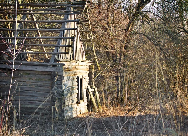 Verlassenes und zerstörtes Haus in einem zugewachsenen Wald . — Stockfoto