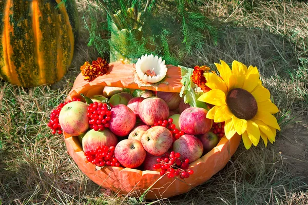 Harvest vegetables sold at the fair — Stock Photo, Image