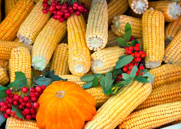 Harvest vegetables sold at the fair — Stock Photo, Image