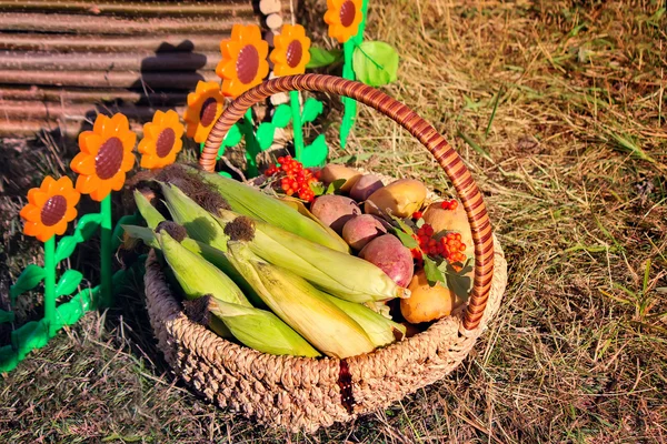 Harvest vegetables sold at the fair — Stock Photo, Image