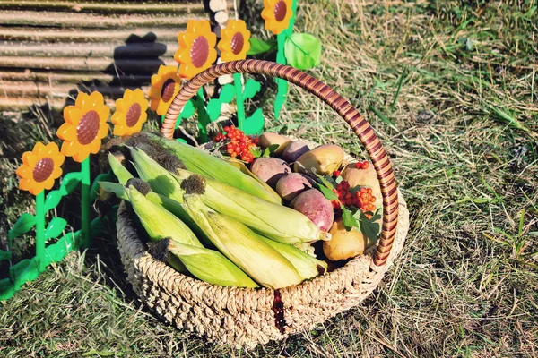 Harvest vegetables sold at the fair — Stock Photo, Image