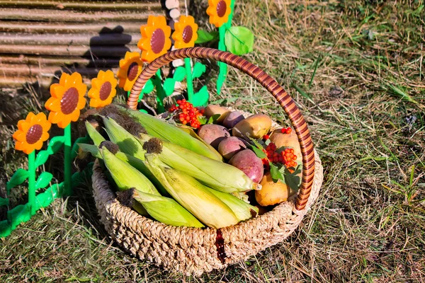 Harvest vegetables sold at the fair — Stock Photo, Image