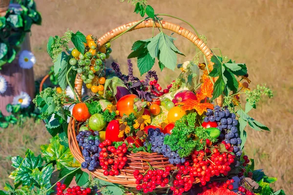Colha legumes, frutas, bagas vendidas na feira — Fotografia de Stock