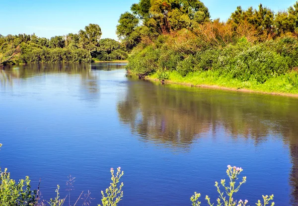 Landschaft mit dem Bild des Flusses und der umgebenden Natur — Stockfoto