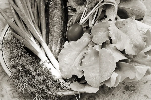 Grönsaker: rädisa, gurka, salladslök, sallad och dill — Stockfoto