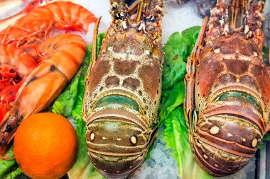 Lobster: marine crustaceans of the Mediterranean sea. clipart