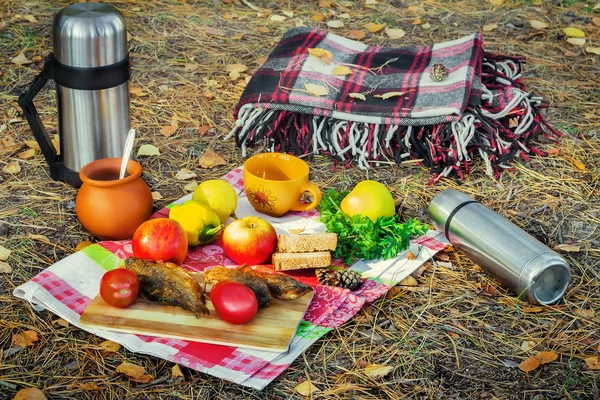 Productos y una manta de picnic en el bosque — Foto de Stock