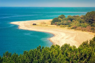 Deniz manzarası ile manzara. Pitsunda, Abhazya.