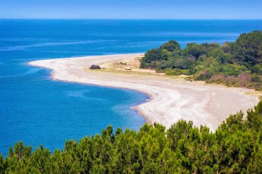 Deniz manzarası ile manzara. Pitsunda, Abhazya.