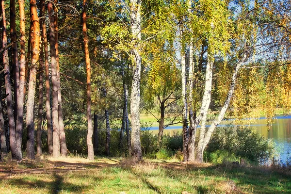 Le bois d'automne sur la rive du grand lac magnifique — Photo