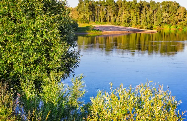 Paesaggio con l'immagine del fiume e la natura circostante — Foto Stock