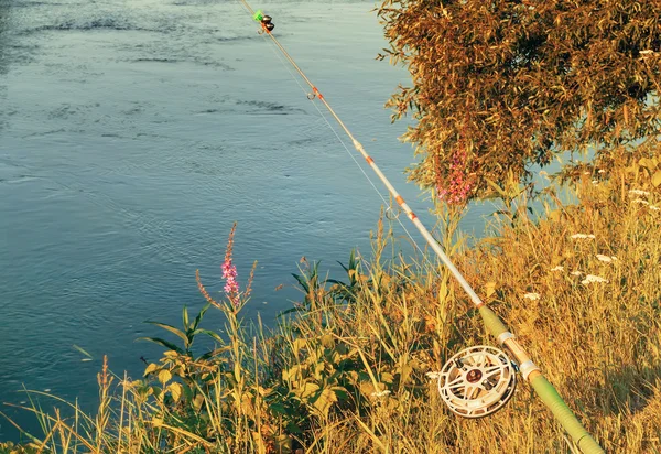 Attrezzatura da pesca per la cattura del pesce nel fiume. — Foto Stock