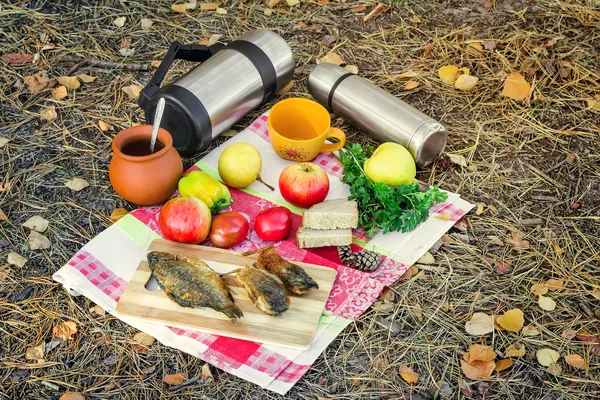 Kávé- és élelmiszer-egy piknik az erdőben — Stock Fotó