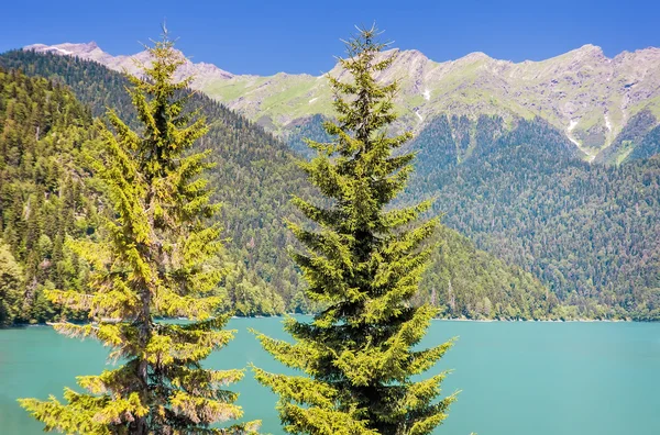 Un pittoresco lago circondato da alte montagne . — Foto Stock