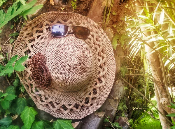 Большинство женских шляп и солнцезащитных очков на фоне деревьев . — стоковое фото