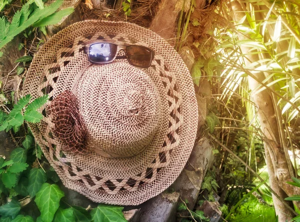 Most women's hat and sunglasses on the background of trees. — Stock Photo, Image