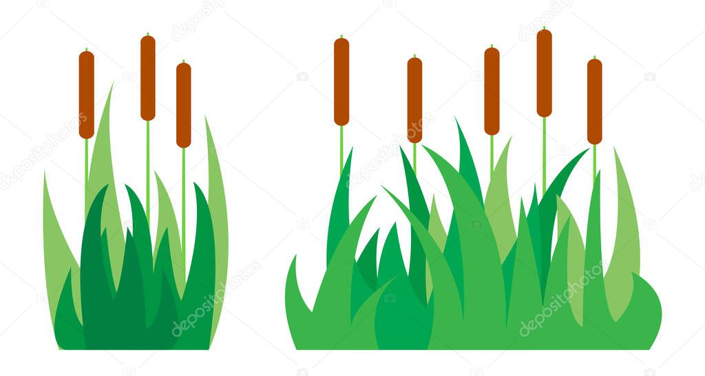 Set of color images of reeds in the grass.