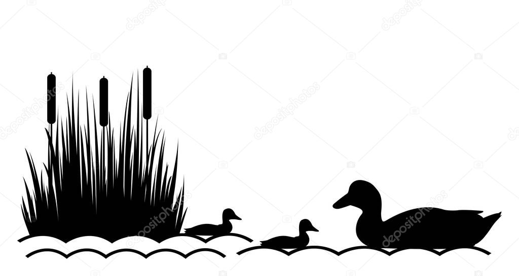 Duck with ducklings on the lake. Vector illustration.
