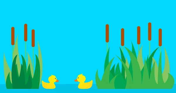 Two ducks in a lake on the background of grass. — Stock Vector