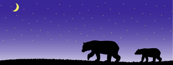 Η σιλουέτα μιας αρκούδας και ενός αρκούδου στο γρασίδι.. — Διανυσματικό Αρχείο