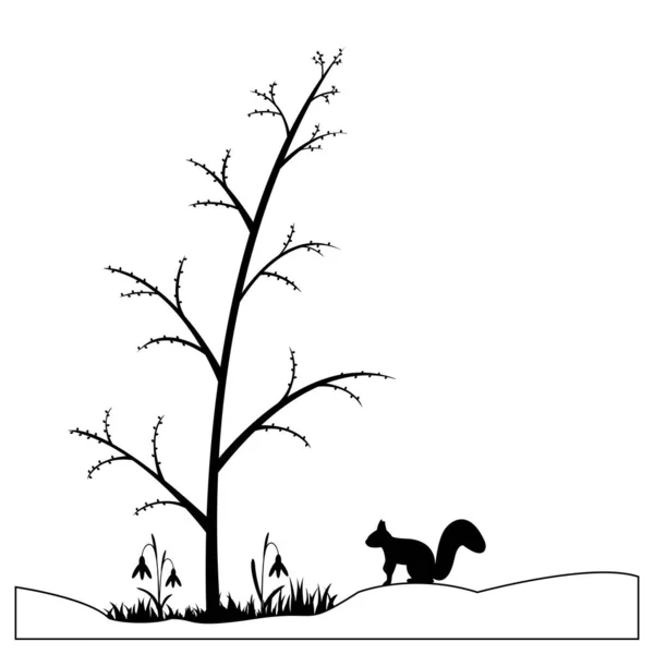 Eekhoornsilhouet in het voorjaarsbos. Vectorillustratie. — Stockvector