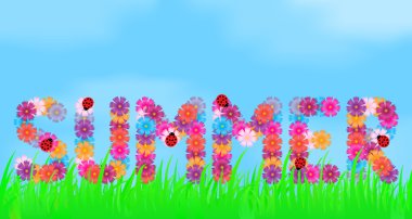 Başlık yaz çiçek.