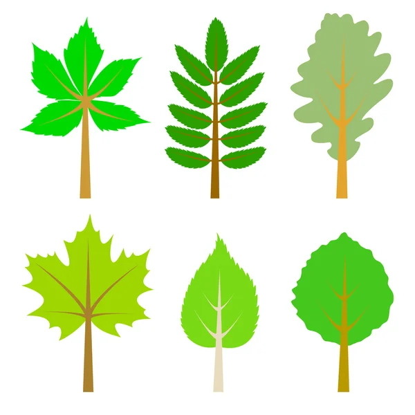 Set of green leaves. — Stock Vector