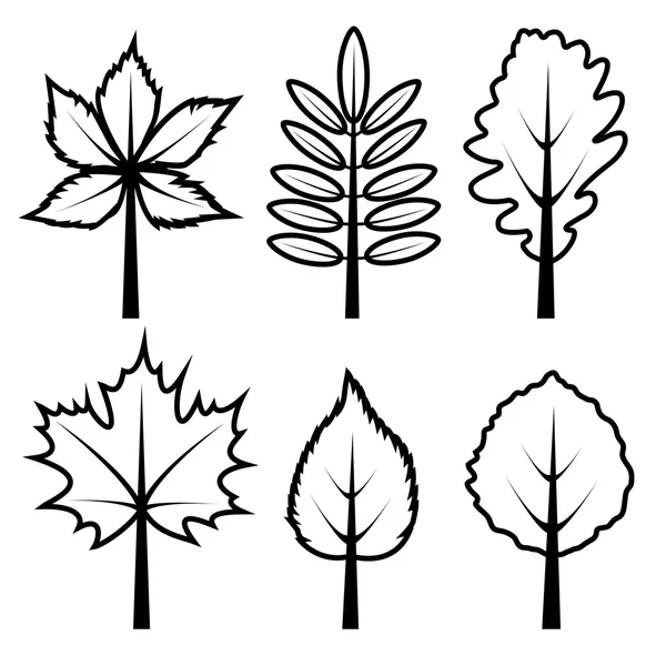 Set de hojas de silueta . — Archivo Imágenes Vectoriales
