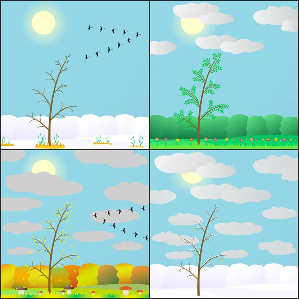 Illustratie van seizoenen in bos. — Stockvector