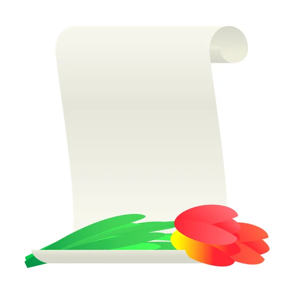 Boeket van tulpen en papier scroll. — Stockvector