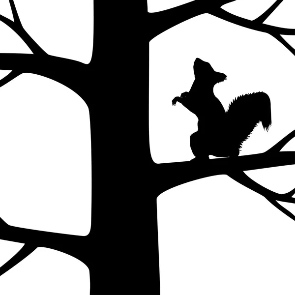 Squirrel on the tree. — Stock Vector