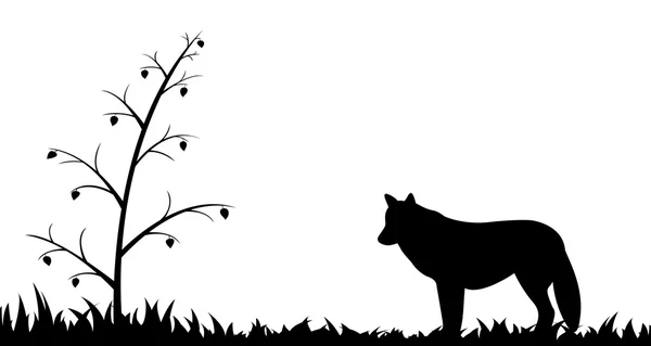 Silhouet van wolf in het gras. — Stockvector