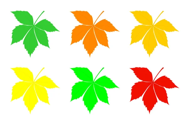 A set of leaves of chestnut. — Stock Vector