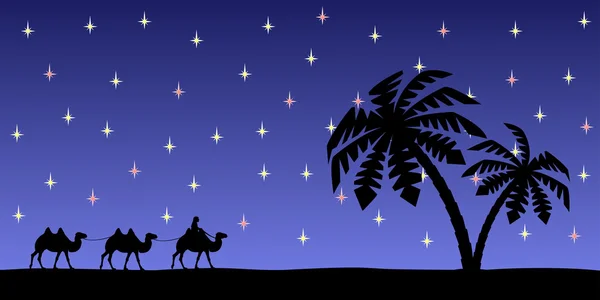 Mann mit Kamelen am Nachthimmel. — Stockvektor