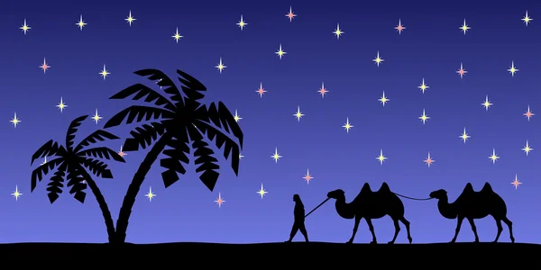 Hombre con camellos en el cielo nocturno. — Archivo Imágenes Vectoriales