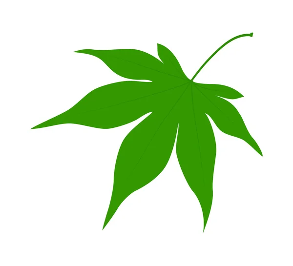 Groen blad op een witte achtergrond. — Stockvector