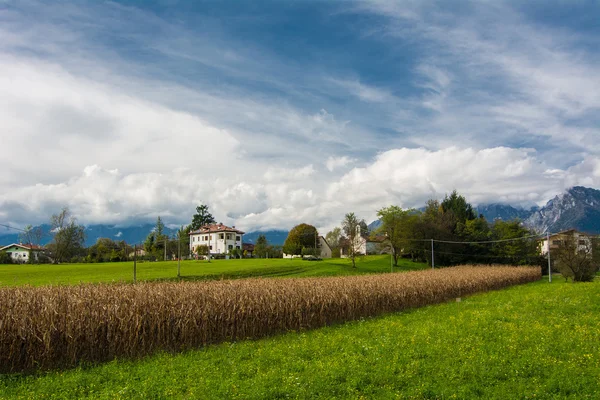 Belluno - Campagna eine Rivamaor — Stockfoto