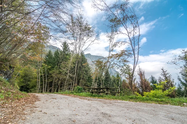 Escursione al Monte di Sospirolo