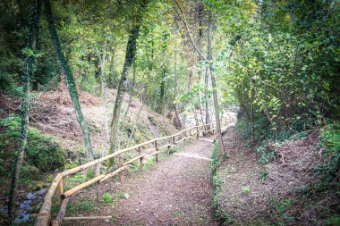 Itinerario lungo il Veses e altri torrenti