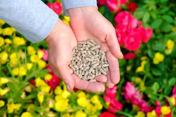 Hands with fertilizer — Stock Photo, Image