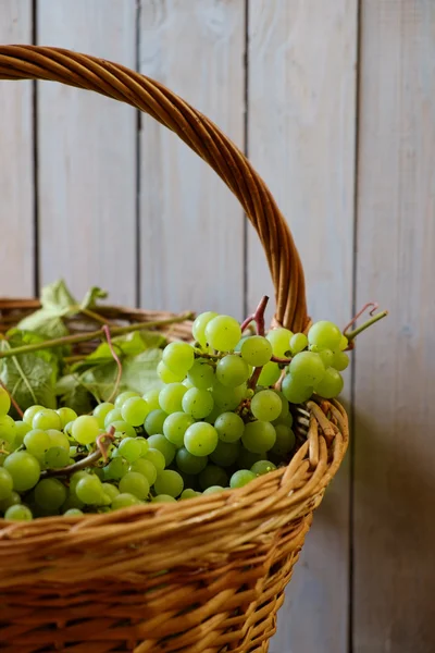 Zielone winogrona w koszyku — Zdjęcie stockowe